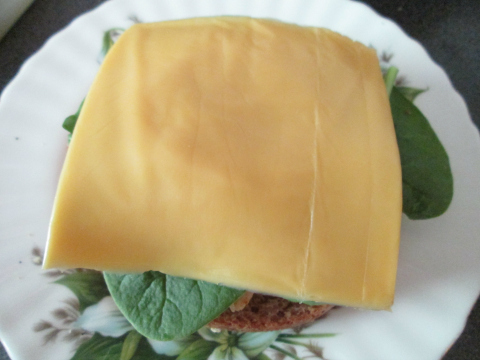 Adding Cheese