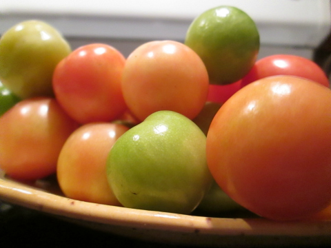 Cheery Cherry Tomatoes!