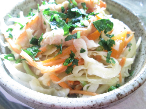 Chicken Coleslaw Recipe