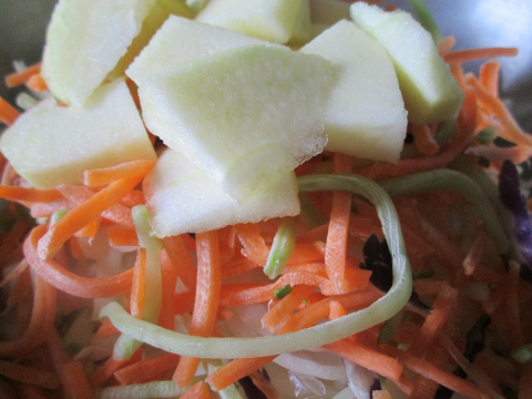Coleslaw with Apples