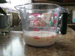 Measuring Cup