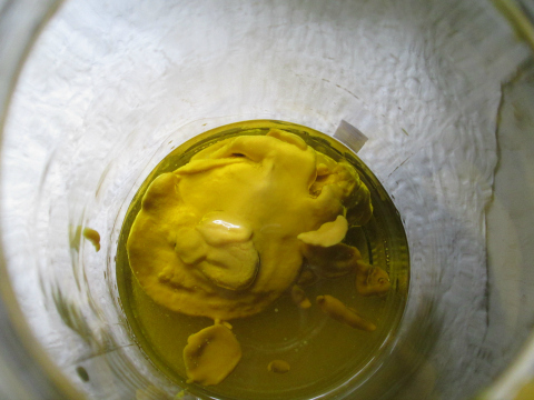 Mustard Sauce for Avocado Salad Recipe