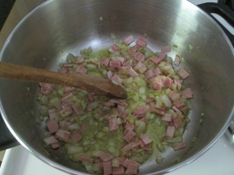 Onions and Chicken Bacon
