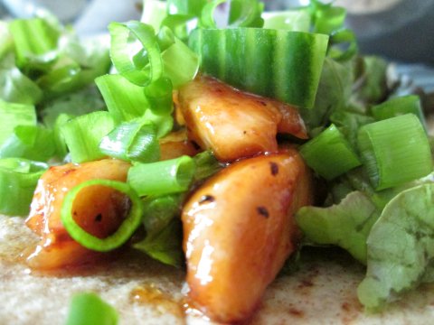 Adding the Fresh Green Onion