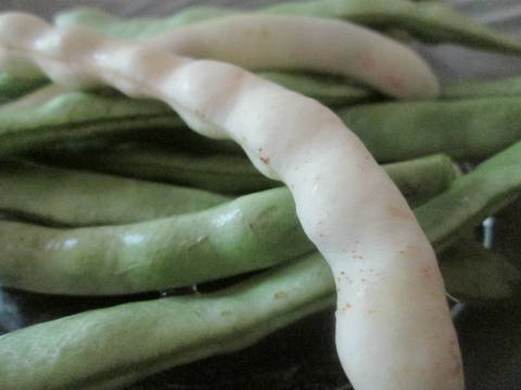 Black Beans for Monika