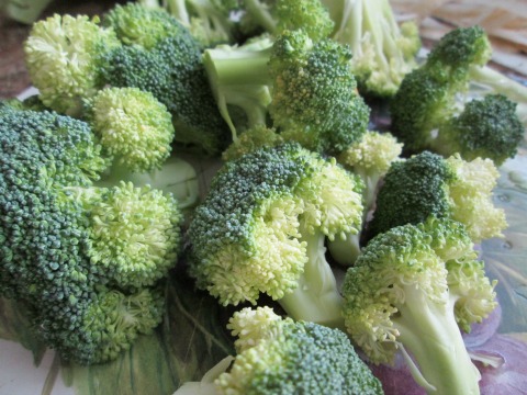 Broccoli Ready