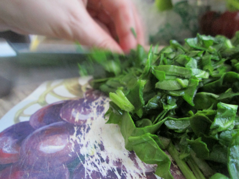 Chopping Spinach