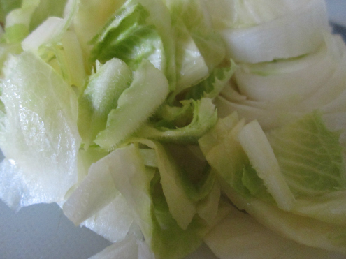 Endive