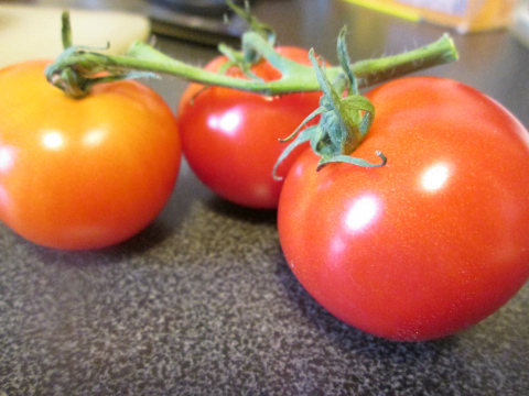 Fresh Fajita Tomatoes