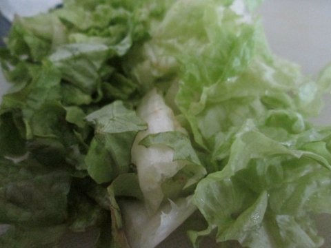 Fresh Sandwich Lettuce