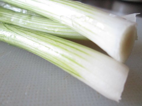 Green Onions for the Final Touch