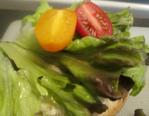 Lettuce and Tomatoes On A Bun