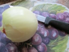 Onios For Beer Can Recipe