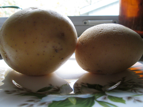 potato and chicken ingredient