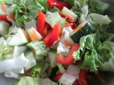 Salad for Chicken Noodle Recipe