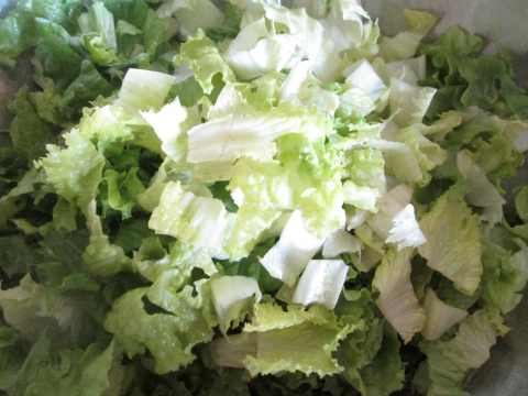 Shredded Lettuce