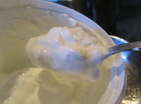 Sour Cream for Chicken Tetrazzini  