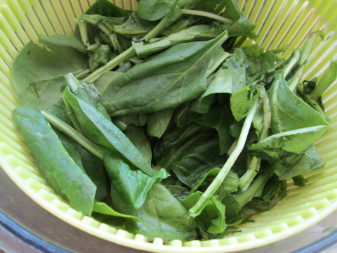 Spinach