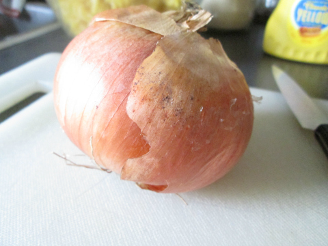 Unpeeled Uncut Onion