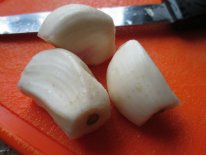 Garlic