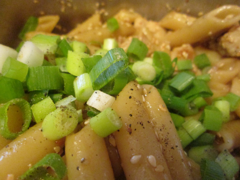 Green Onions Sesame Seeds and Pasta