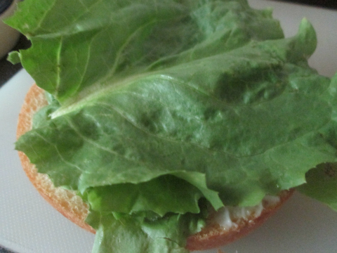 Lettuce and Sandwich Slice